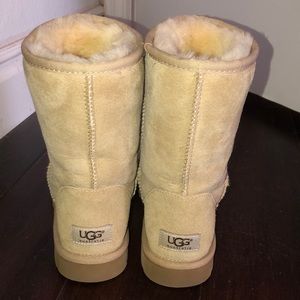 Brand new UGGS